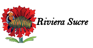 logo-alternate
